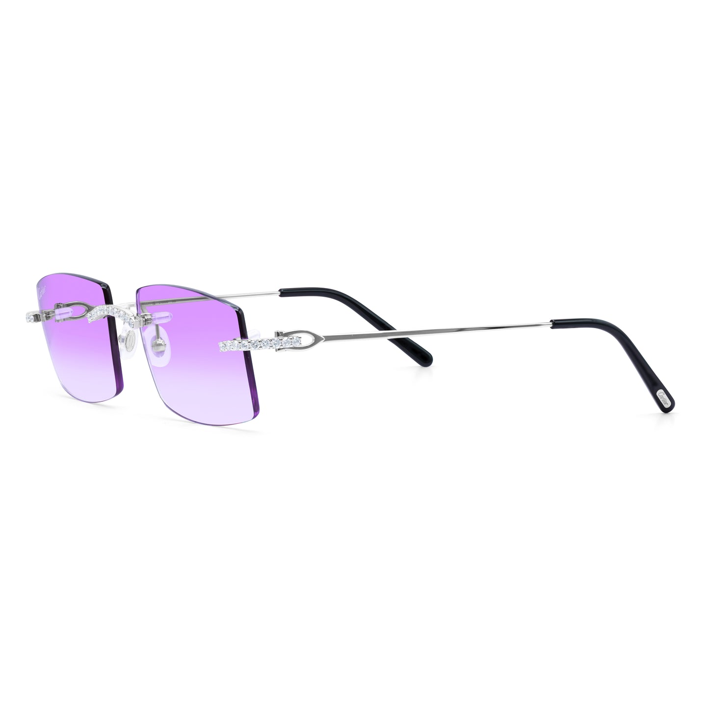 8 POINTER LITTLE Cs ‘CARSON’ VIOLET AR