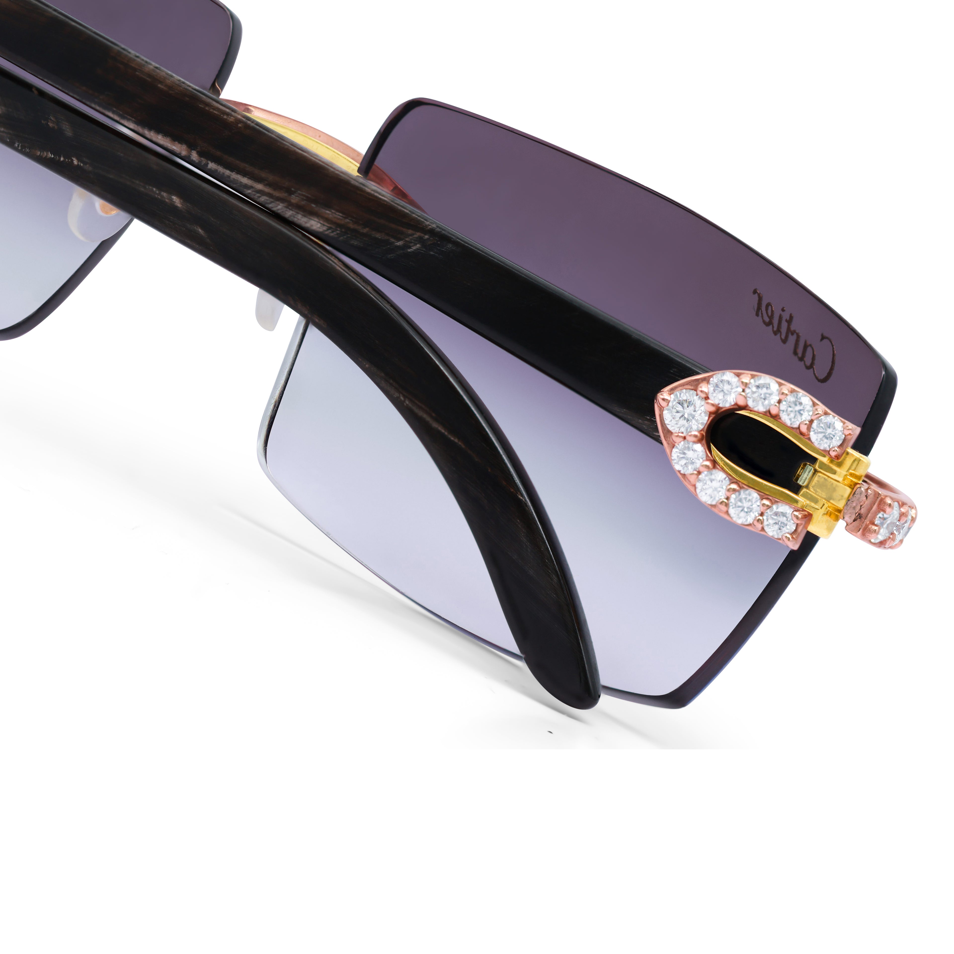 30 POINTER ROUNDS ‘CARSON’ GRAY AR