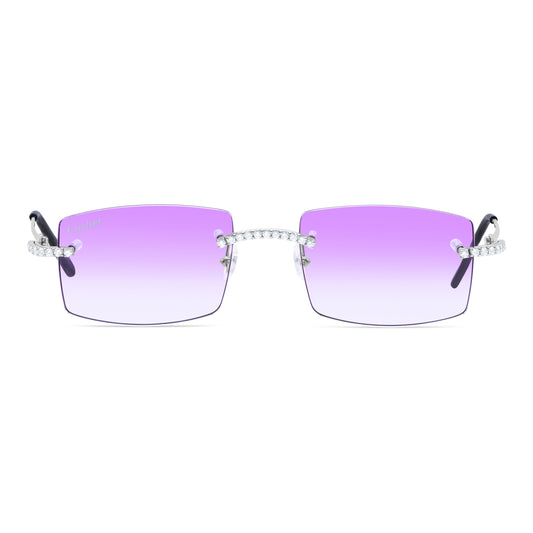 8 POINTER LITTLE Cs ‘CARSON’ VIOLET AR