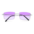 8 POINTER LITTLE Cs ‘CARSON’ VIOLET AR