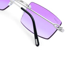 8 POINTER LITTLE Cs ‘CARSON’ VIOLET AR