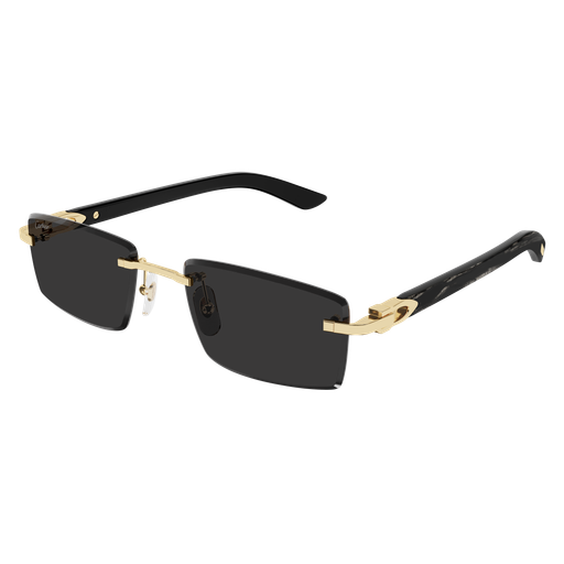 Cartier CT0582S-001