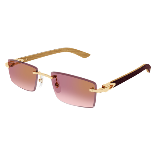 Cartier CT0582S-002