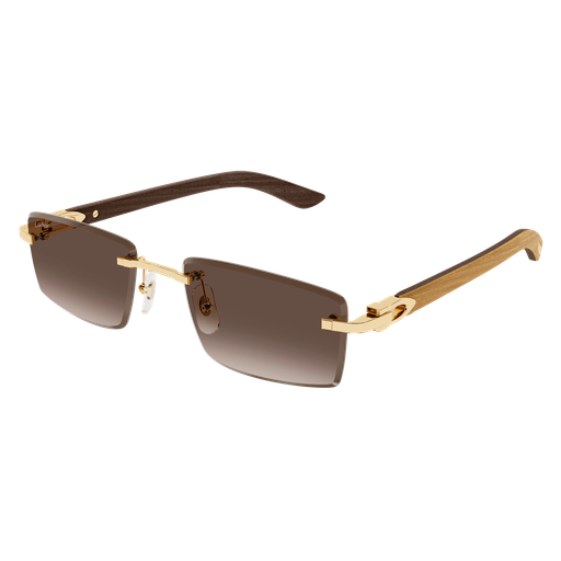Cartier CT0582S-003