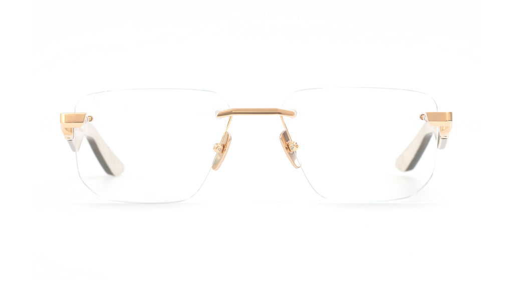 THE VISIONIST I MG-WDX-Z65
