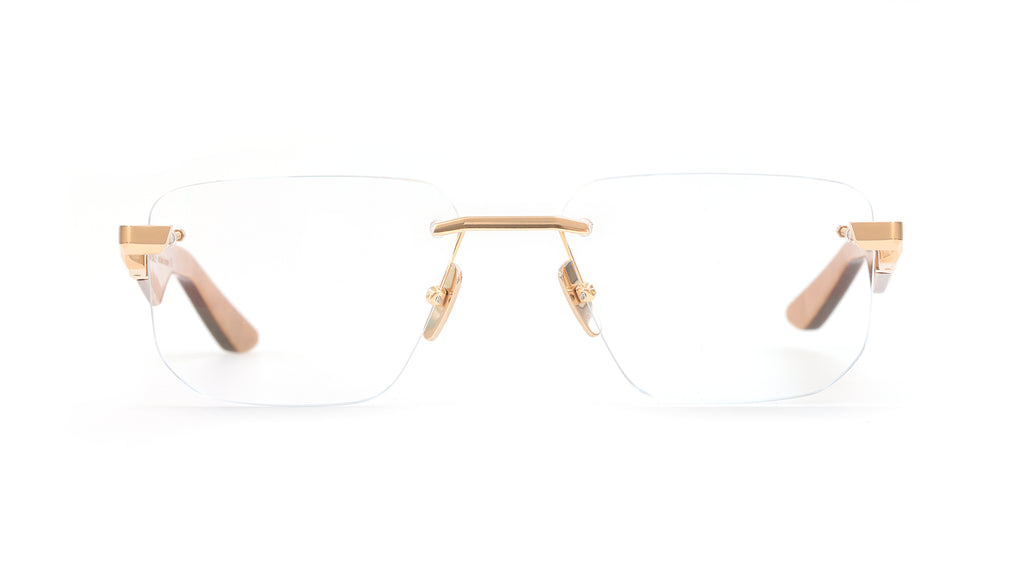THE VISIONIST I MG-WEO-Z65