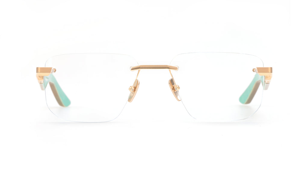 THE VISIONIST I MG-WES-Z65