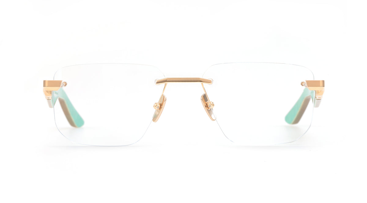 THE VISIONIST I MG-WES-Z65